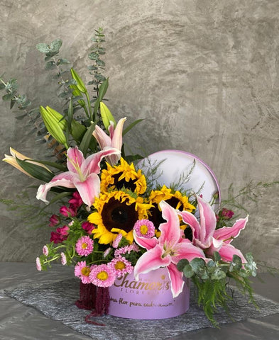 Caja de Stargeizer, Girasoles y Flores Surtidas
